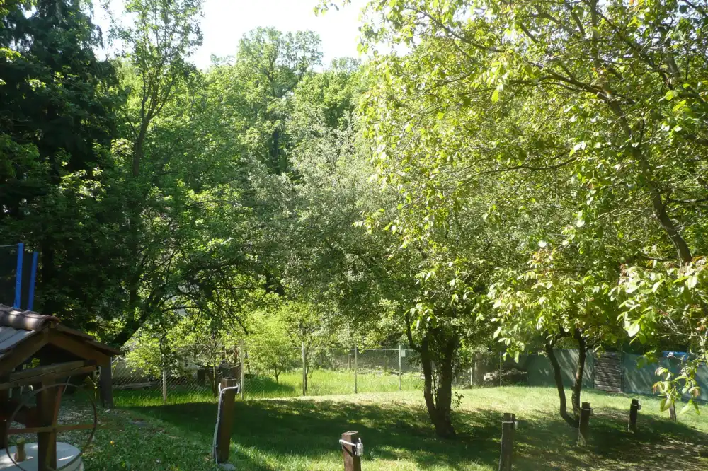 Pest megye - Budakeszi